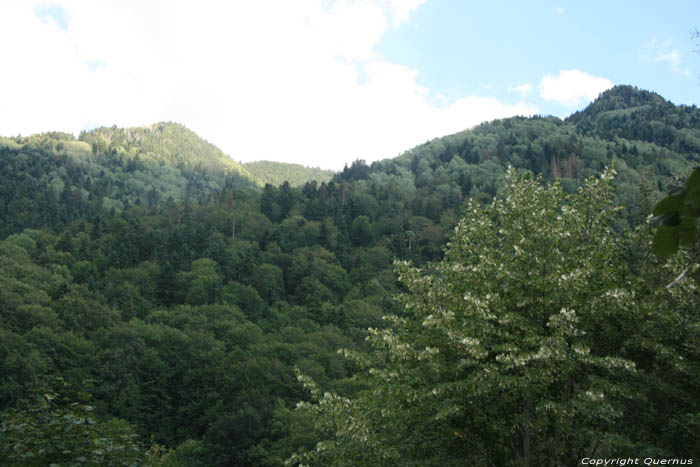 Vue de montagnes Rila / Bulgarie 