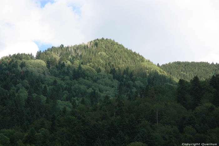 Mountain view Rila / Bulgaria 