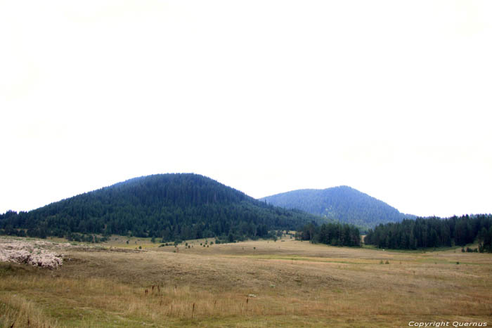 Paysage Rhodopes Batak / Bulgarie 