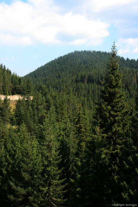 Paysage des Rhodope Montagnes Batak / Bulgarie 