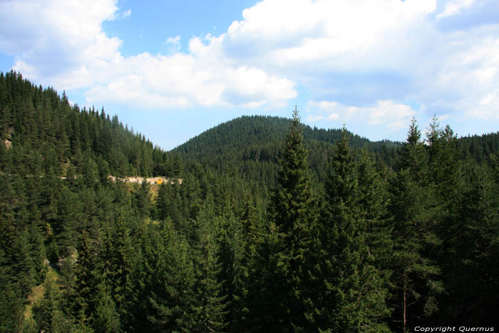 Rhodope landschap Batak / Bulgarije 