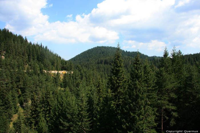 Paysage des Rhodope Montagnes Batak / Bulgarie 