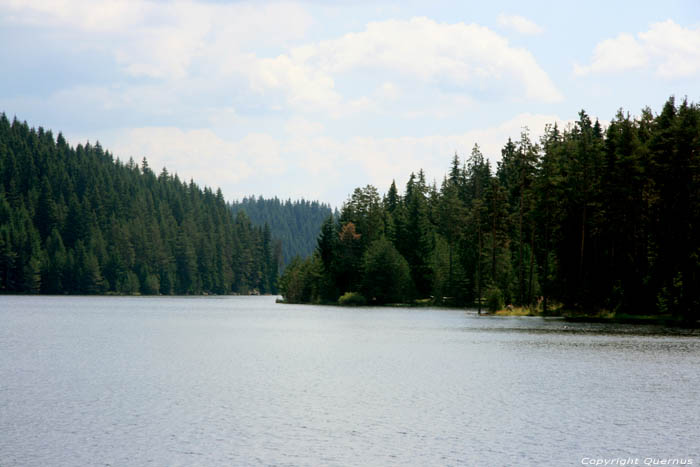 Shiroka Polyana Lake and dam Shiroka in BATAK / Bulgaria 