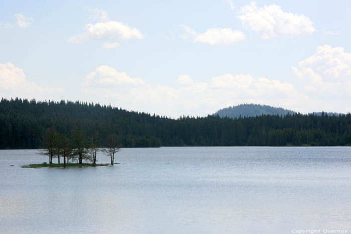 Shiroka Polyana Lake and dam Shiroka in BATAK / Bulgaria 