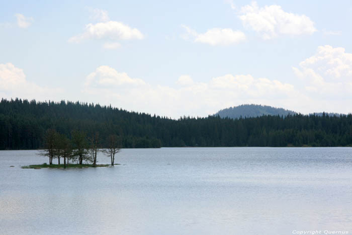 Lac de Shiroka Polyana  Shiroka  BATAK / Bulgarie 