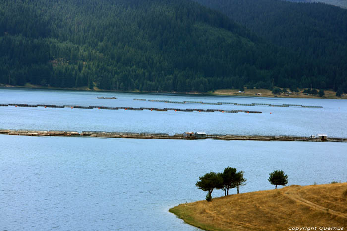 Vue sur Lac Dospat / Bulgarie 