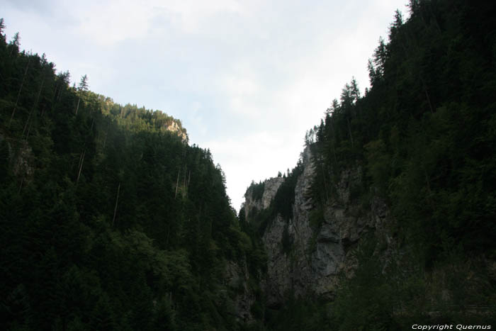 Gorges de Trigrad Yagodina  BORINO / Bulgarie 