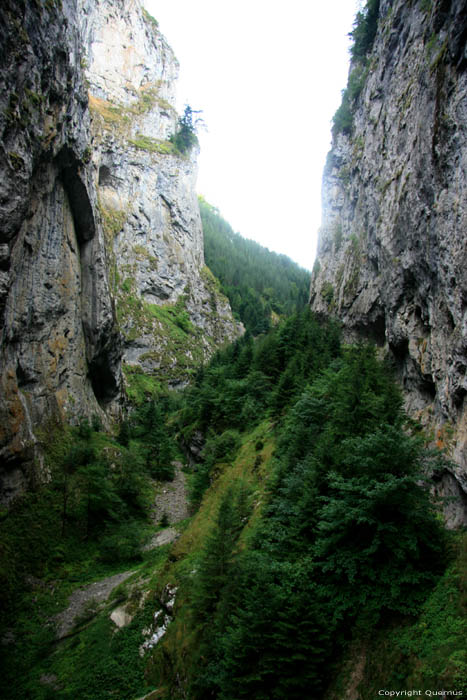 Trigrad kloof Yagodina in BORINO / Bulgarije 