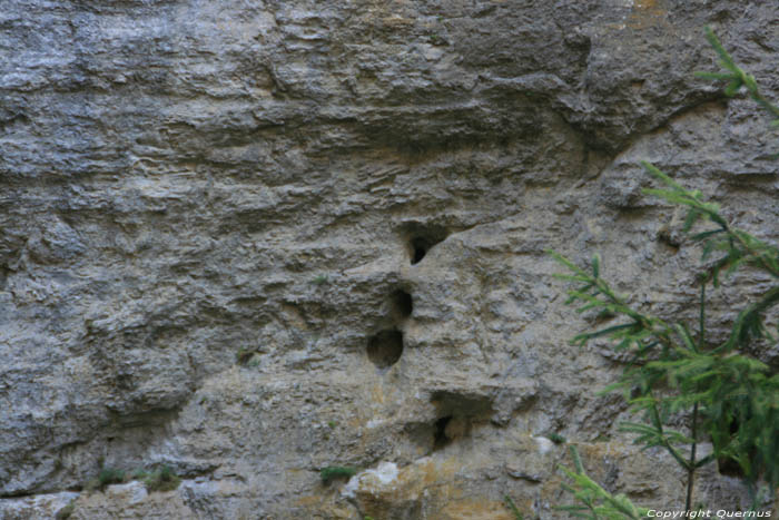 Trigrad Cleft Yagodina in BORINO / Bulgaria 