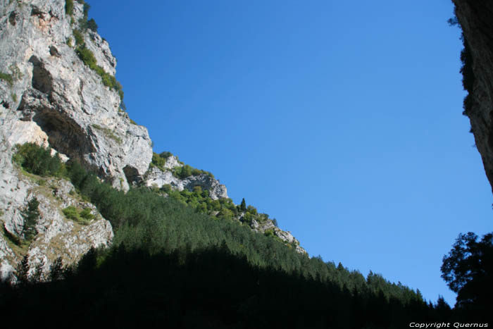 Gorges de Trigrad Yagodina  BORINO / Bulgarie 