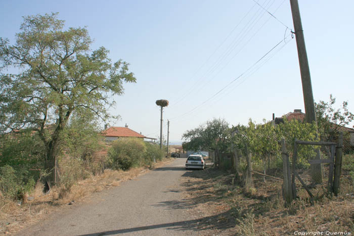 Stork's nest Izvorishte / Bulgaria 