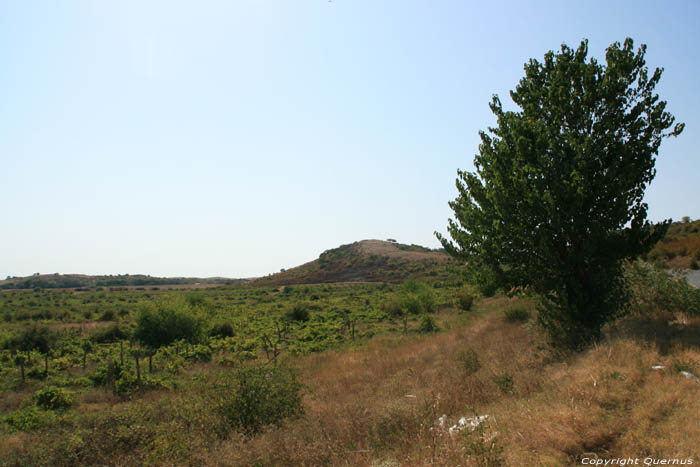 Vignoble Banya / Bulgarie 