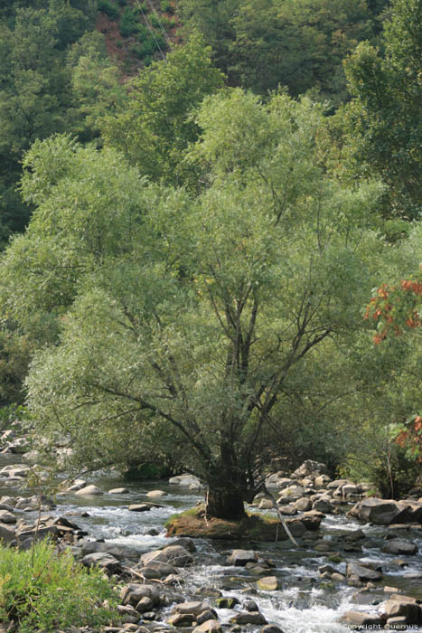 Vallei Bachkovo in ASENOVGRAD / Bulgarije 