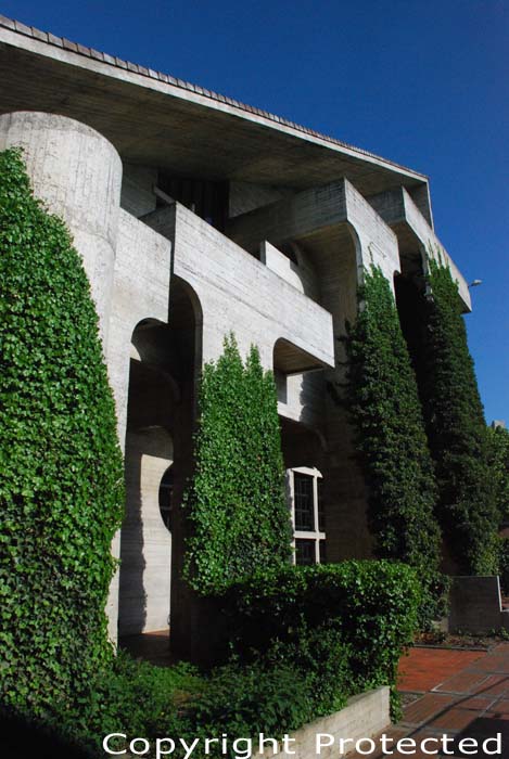 Ivy climbing the concrete walls in Louvain- La- Neuve LOUVAIN-LA-NEUVE in OTTIGNIES-LOUVAIN-LA-NEUVE / BELGIUM 