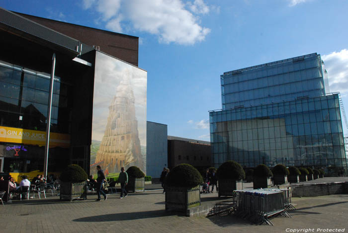 Een rij struiken in bakken om de gasten te eren LOUVAIN-LA-NEUVE / OTTIGNIES-LOUVAIN-LA-NEUVE foto 