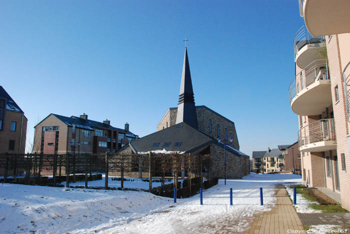 De geknipte Lindebomen voor Onze-Lieve-Vrouw-van_goede-Hoop LOUVAIN-LA-NEUVE in OTTIGNIES-LOUVAIN-LA-NEUVE / BELGI 