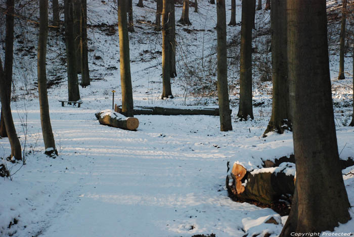 Bank in het bos van Lauzelle in de sneeuw LOUVAIN-LA-NEUVE in OTTIGNIES-LOUVAIN-LA-NEUVE / BELGI 