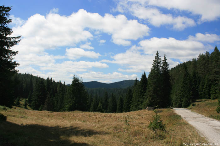 Paysage des Rhodope Montagnes Batak / Bulgarie 
