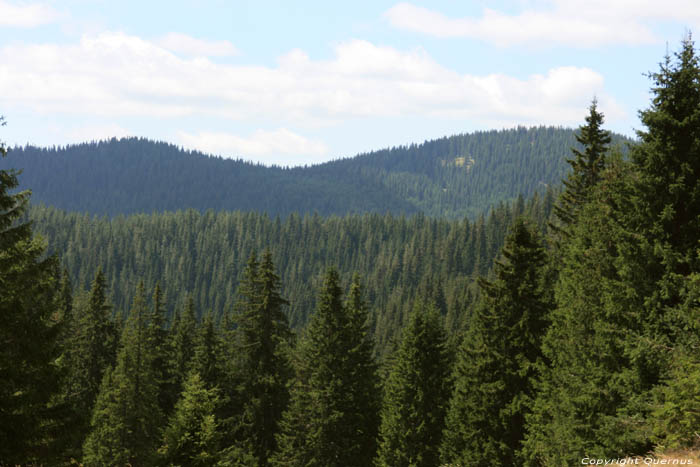 Landscape in Rhodope Mountains Batak / Bulgaria 