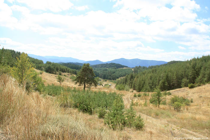 Rhodopes Landschap Devin / Bulgarije 