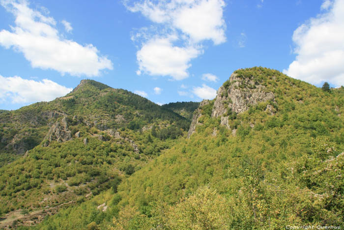 Rhodope gebergte Devin / Bulgarije 