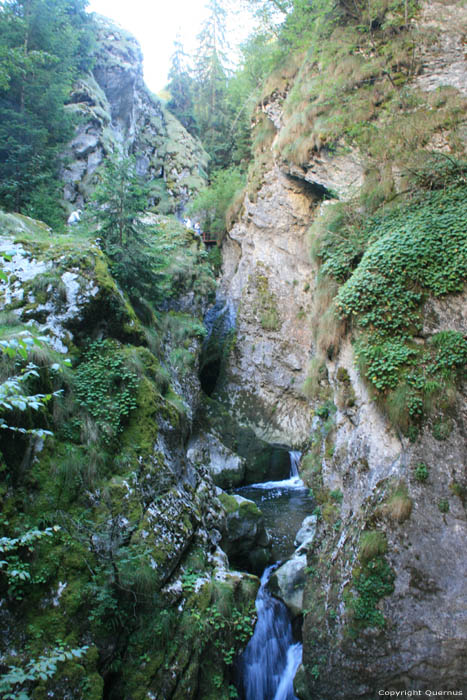 Gorge du Diable Yagodina  BORINO / Bulgarie 