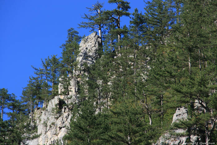 Kloof Teshel / Bulgarije 