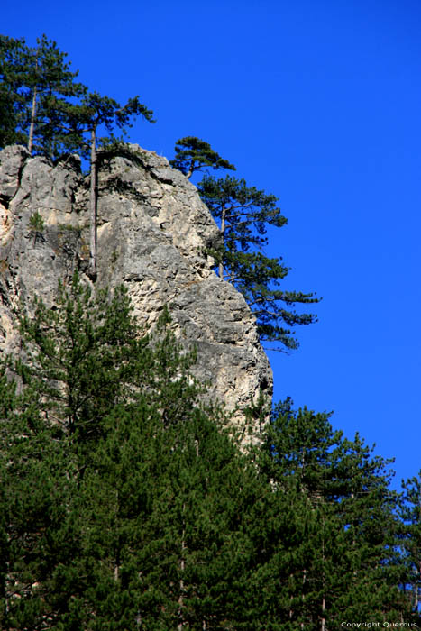 Gorge Teshel / Bulgarie 