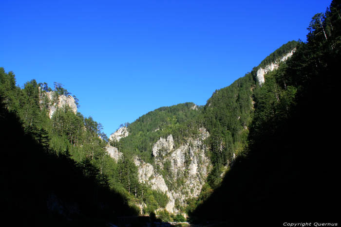 Rocks Teshel / Bulgaria 