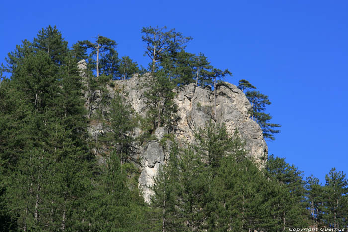 Gorge Teshel / Bulgarie 