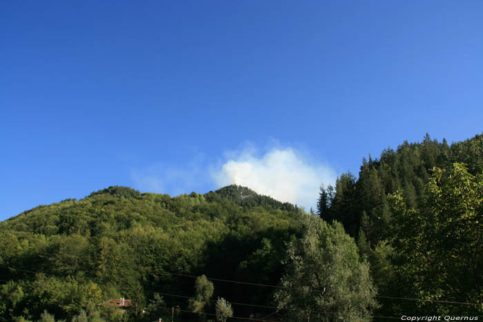 Forrest Fire Shiroka Laka in Shiroka Luka / Bulgaria 