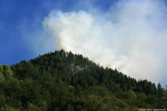 Forrest Fire Shiroka Laka in Shiroka Luka / Bulgaria 