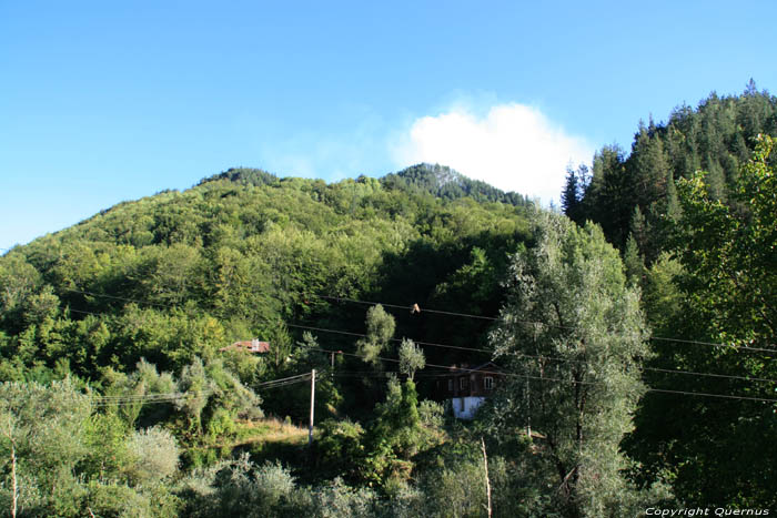 Forrest Fire Shiroka Laka in Shiroka Luka / Bulgaria 