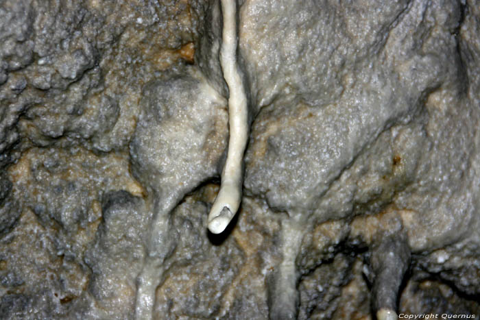 Cave Snejanka (Snezhanka) Batak / Bulgarie 