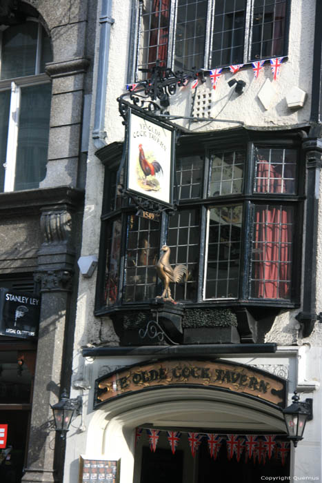 Y. Olde Cocque Taverne  LONDRES / Angleterre 