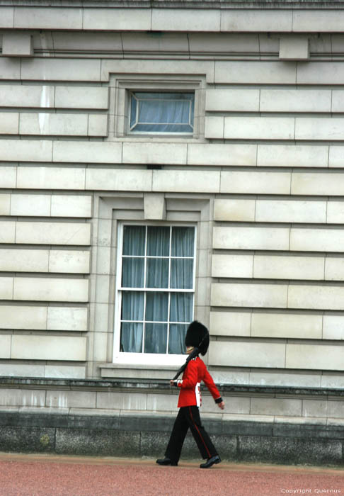 Palais Buckingham LONDRES / Angleterre 