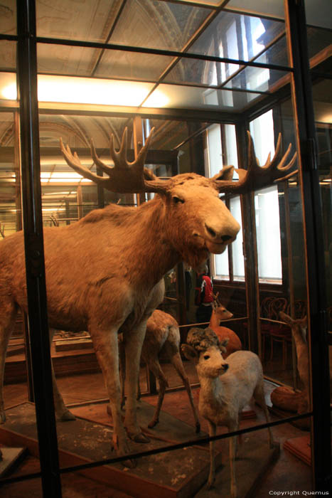 Peoples Theatre - Nature History Museum VIENNA / Austria 