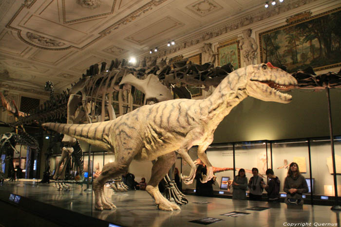 Peoples Theatre - Nature History Museum VIENNA / Austria 