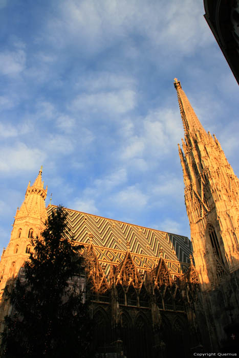 Stephan's Cathedral (Stephansdom) VIENNA / Austria 