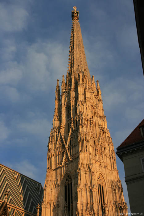 Cathdrale Stephan VIENNE / Autriche 