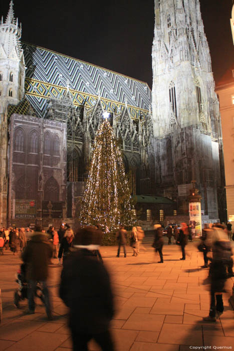 Stephan's Cathedral (Stephansdom) VIENNA / Austria 