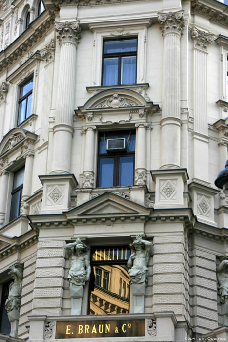 E.Braun & Co. VIENNA / Austria 