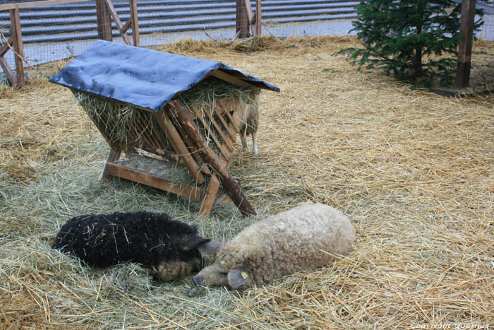 Kerststal WENEN / Oostenrijk 