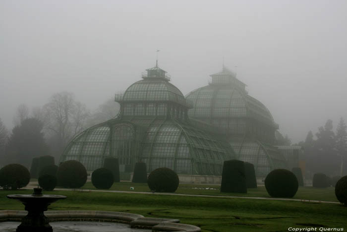 Palms' house (Palmenhaus) VIENNA / Austria 