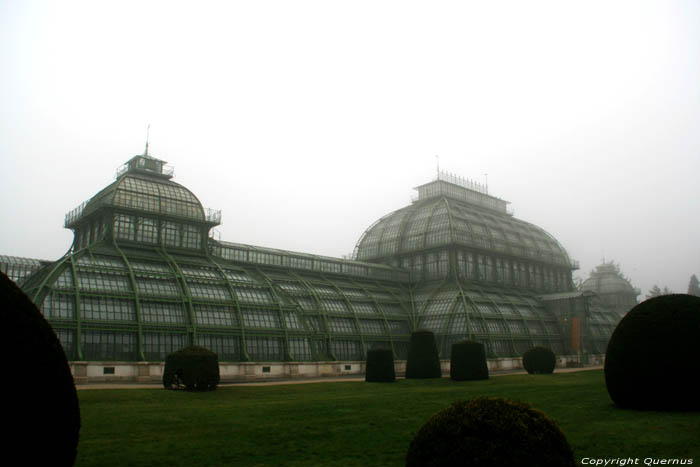 Palms' house (Palmenhaus) VIENNA / Austria 