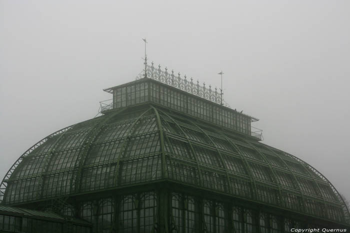 Palmenhuis WENEN / Oostenrijk 