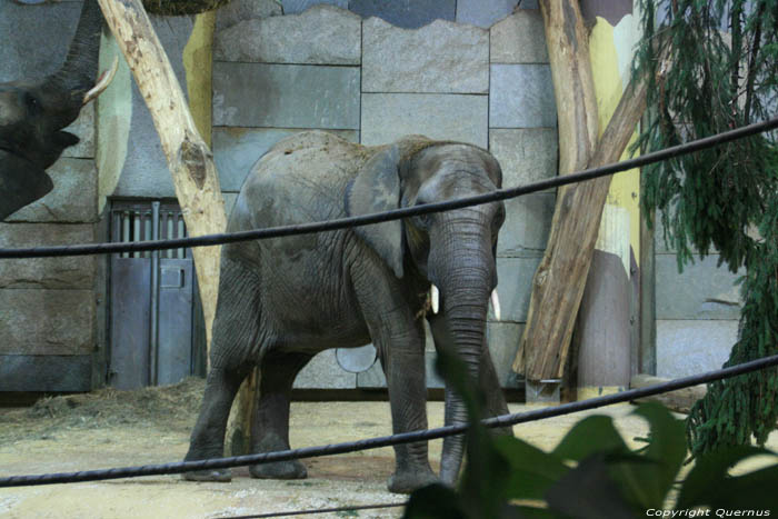 Zoo VIENNA / Austria 