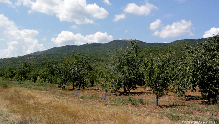 View on the Mountains Karageogievo in AITOS / Bulgaria 