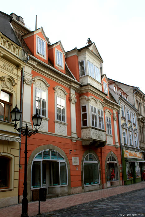 Janos Sajnovics Huis Gyor / Hongarije 