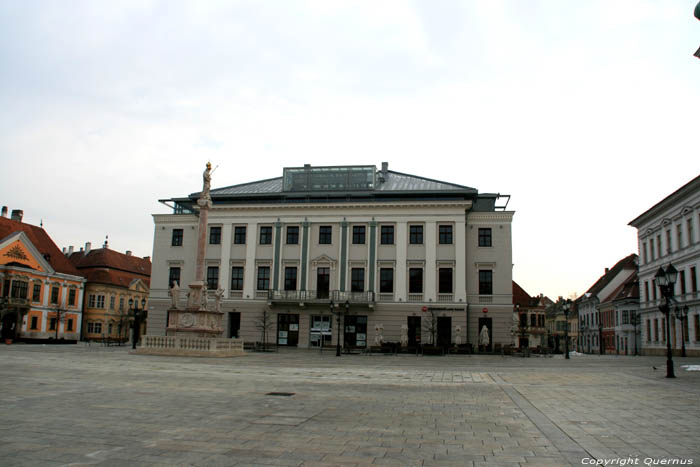 Xantus Janos Museum - Varkanzamata Kotar Gyor / Hungary 